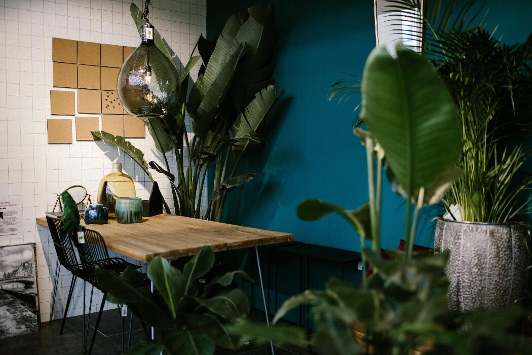 Foto's Intratuin Barneveld