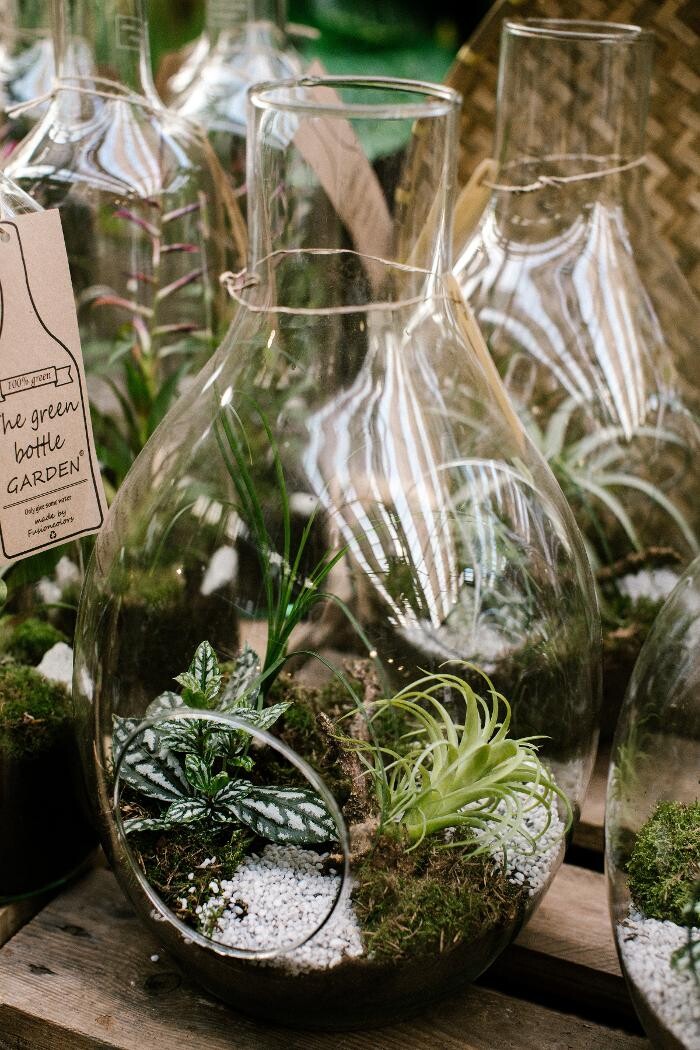 Foto's Intratuin Barneveld