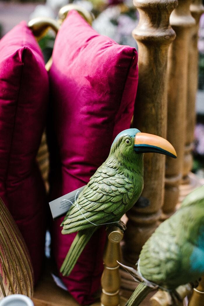 Foto's Intratuin Barneveld