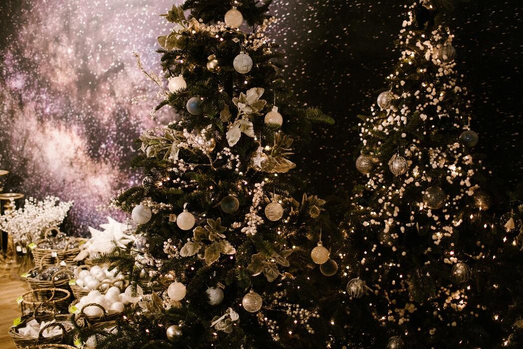 Foto's Intratuin Barneveld