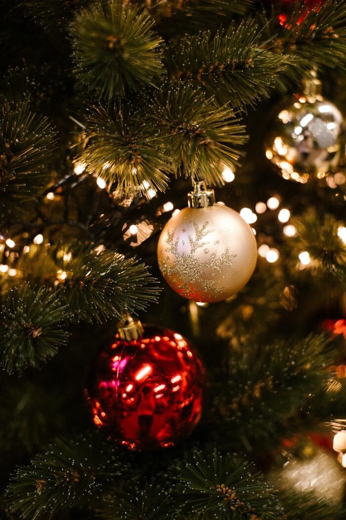 Foto's Intratuin Barneveld