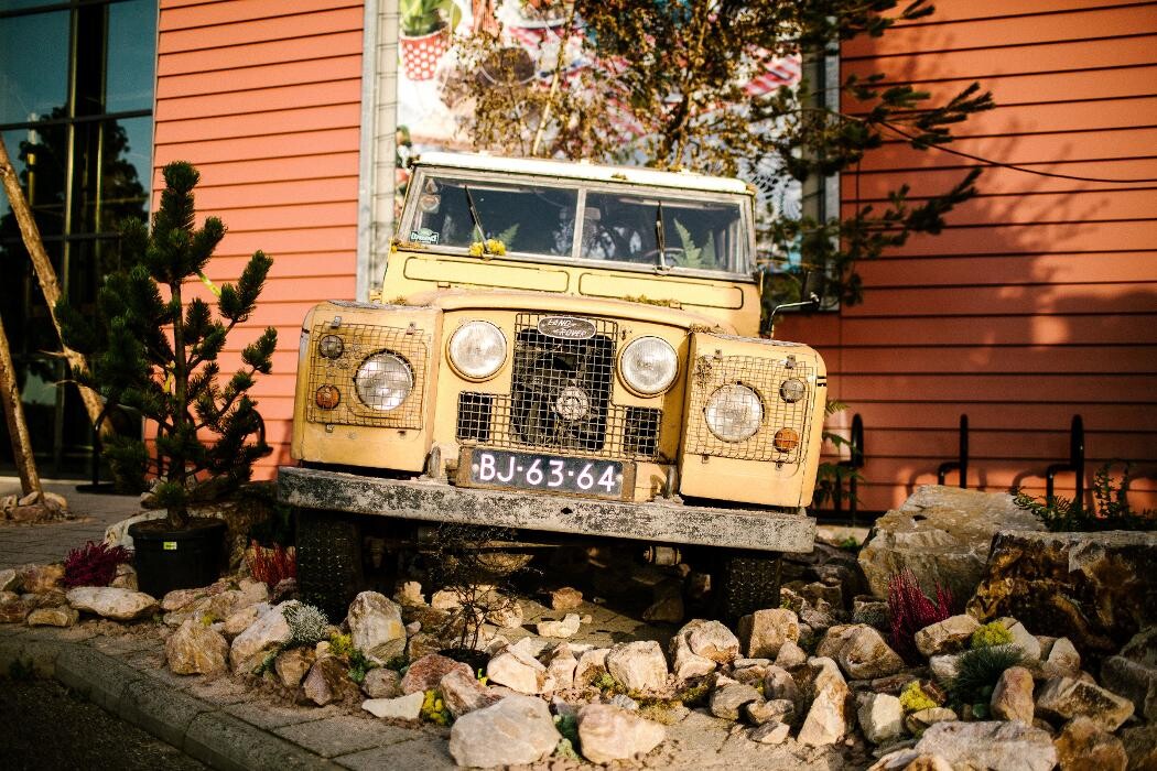 Foto's Intratuin Barneveld