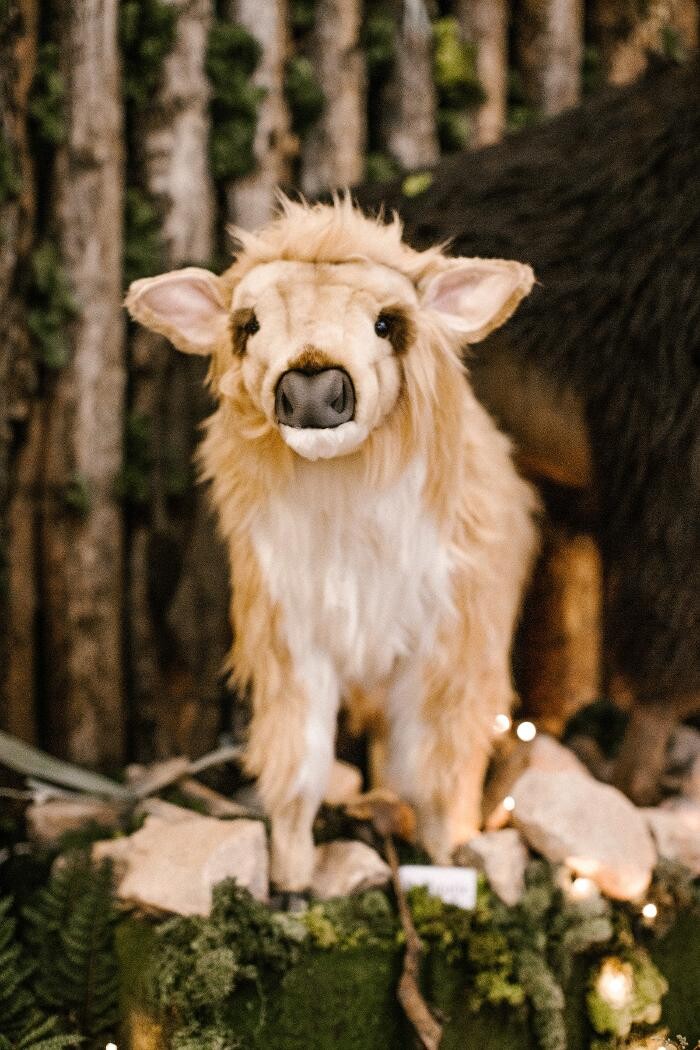 Foto's Intratuin Barneveld