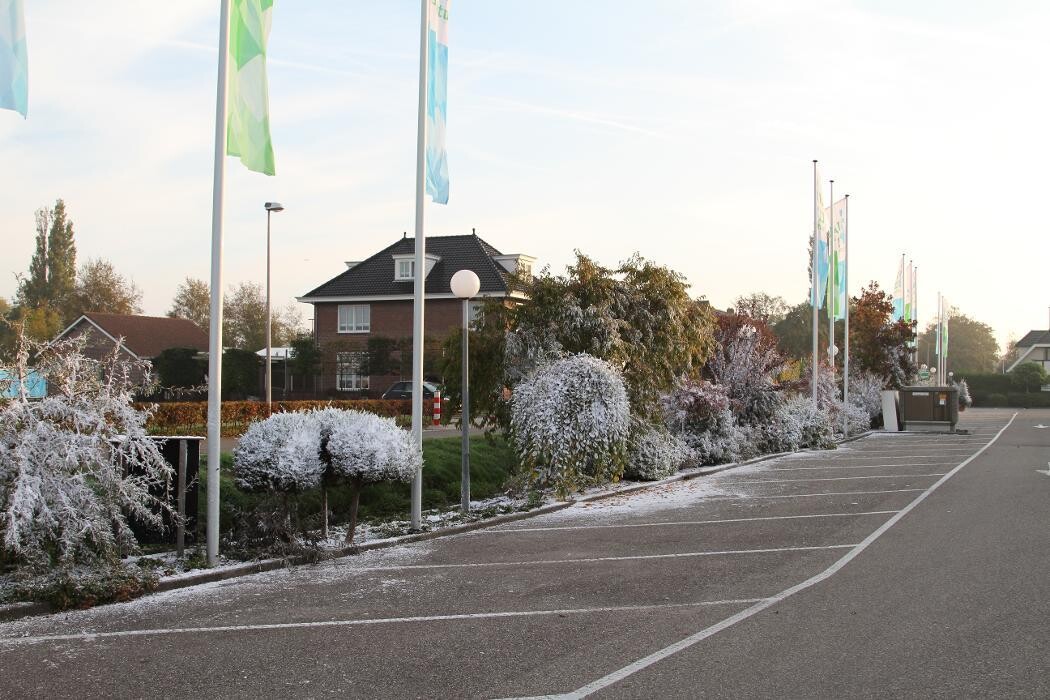Foto's Intratuin Ter Aar