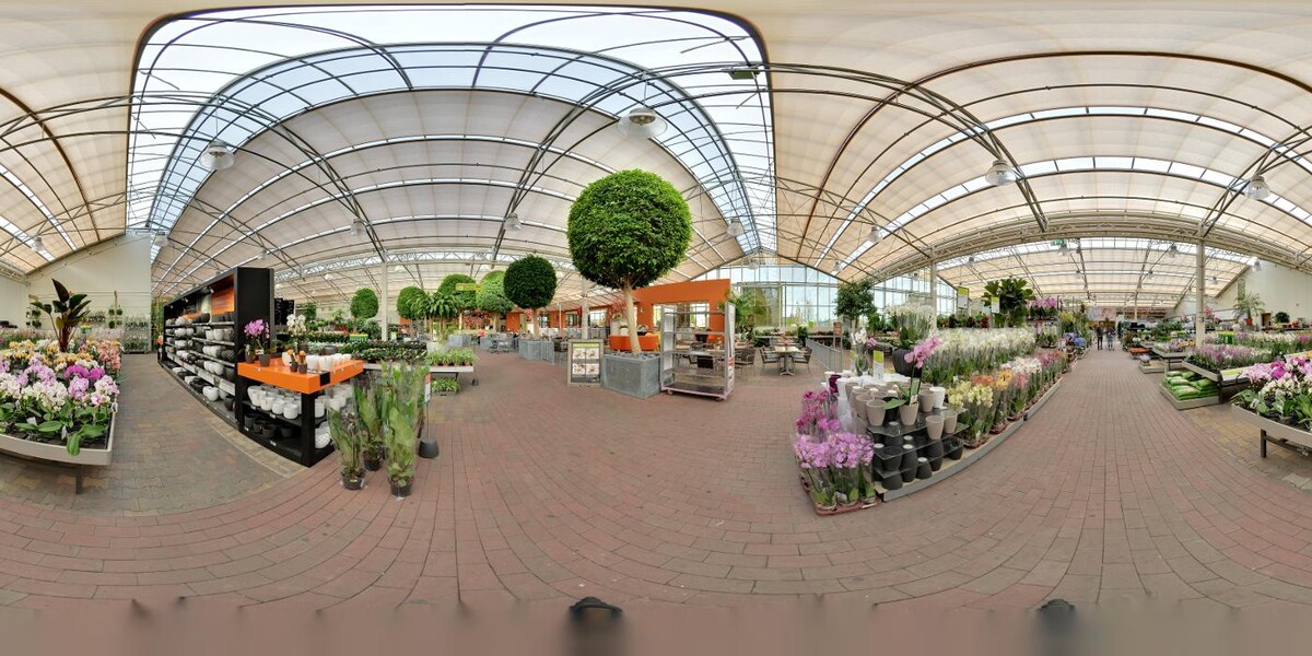 Foto's Intratuin Duiven