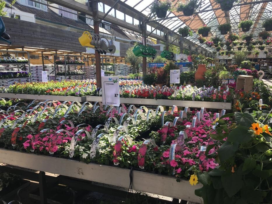 Foto's Intratuin Utrecht