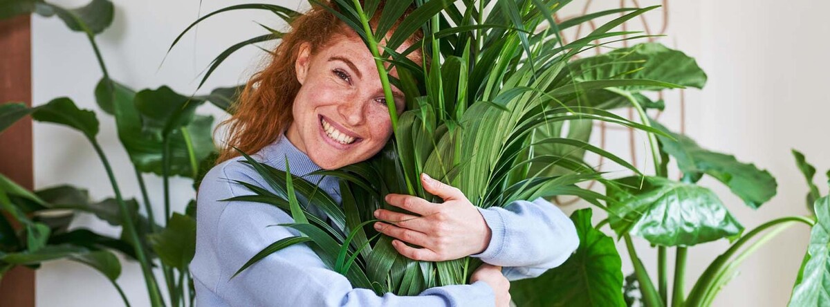 Foto's Intratuin Utrecht