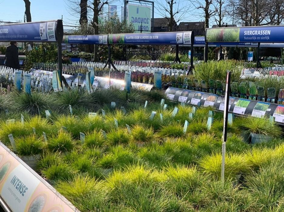 Foto's Intratuin Weert