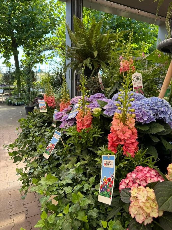 Foto's Intratuin Weert