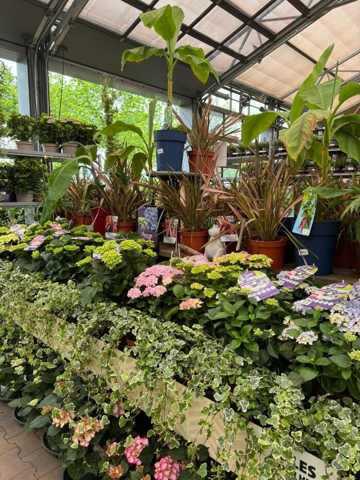 Foto's Intratuin Weert