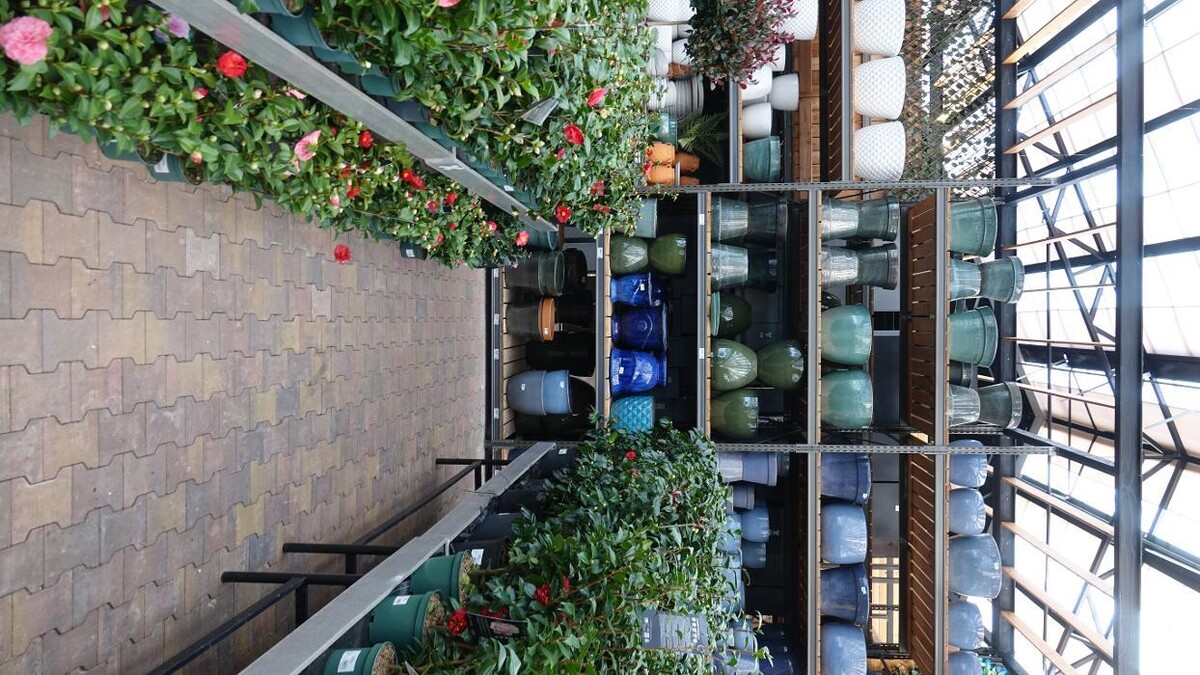 Foto's Intratuin Lisse