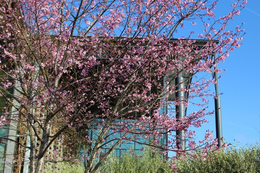 Foto's Intratuin Elst