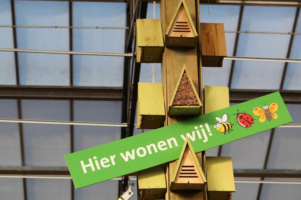 Foto's Intratuin Elst