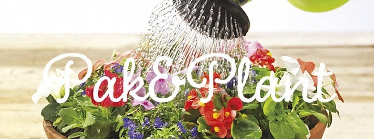 Foto's Intratuin Koudekerke