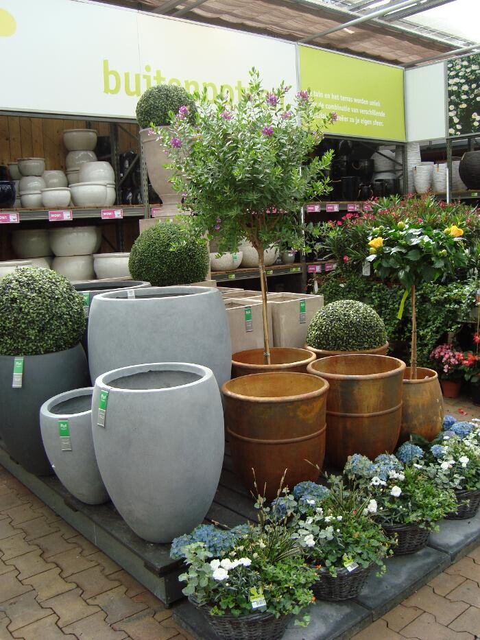 Foto's Intratuin Geleen
