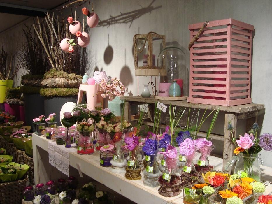 Foto's Intratuin Geleen