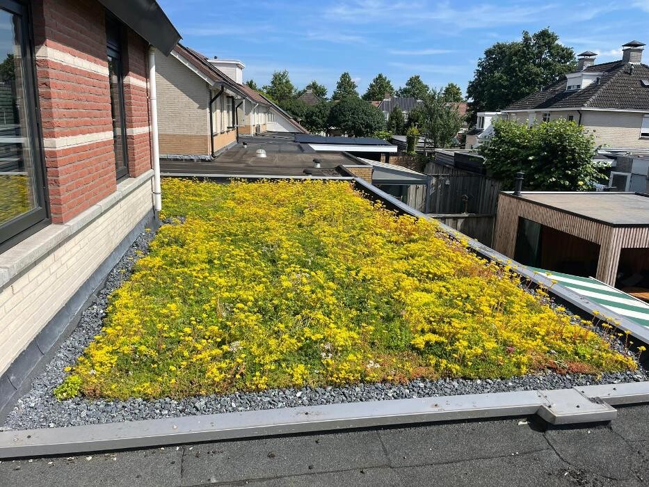 Foto's Het Groene loket - groendaken