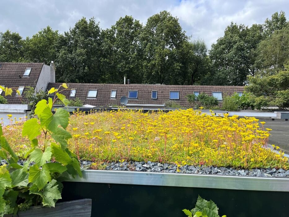 Foto's Het Groene loket - groendaken