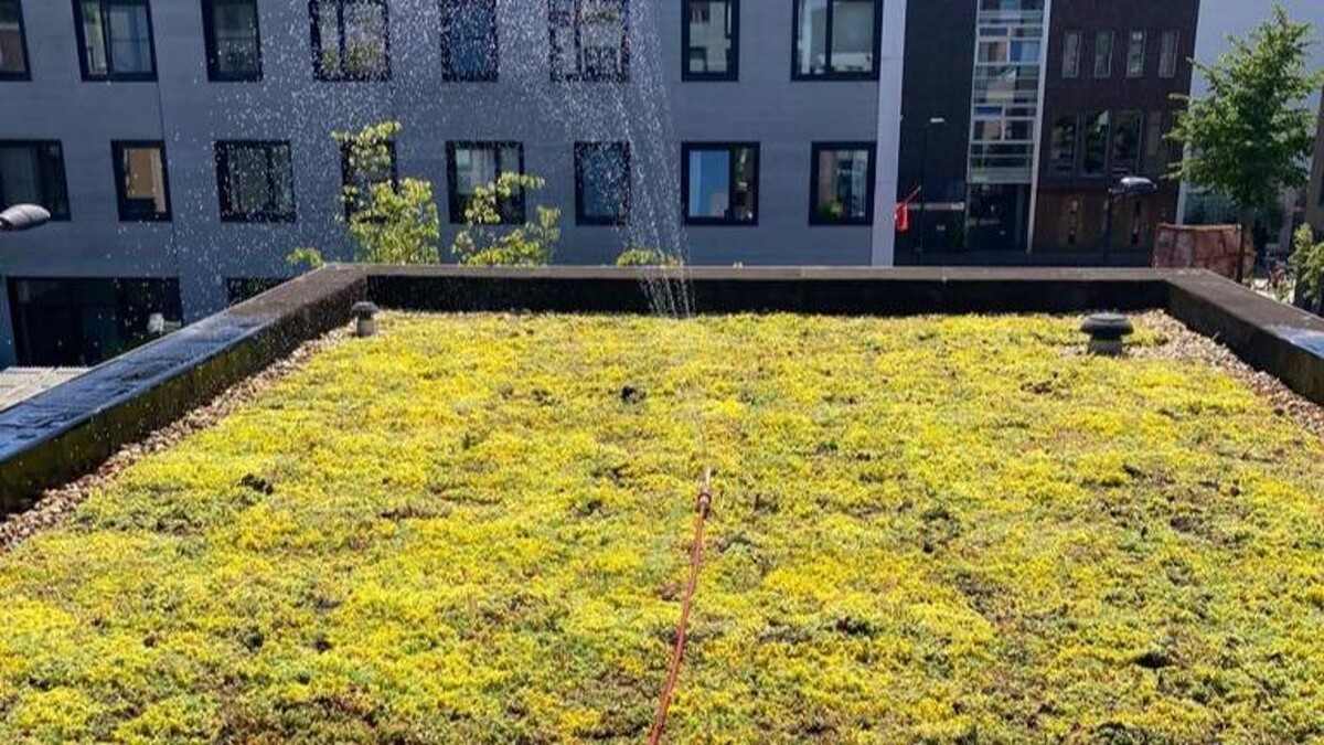 Foto's Het Groene loket - groendaken