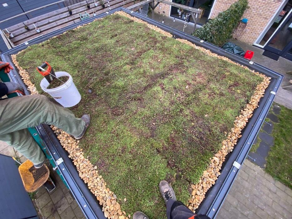 Foto's Het Groene loket - groendaken