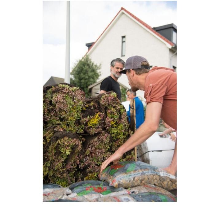 Foto's Het Groene loket - groendaken