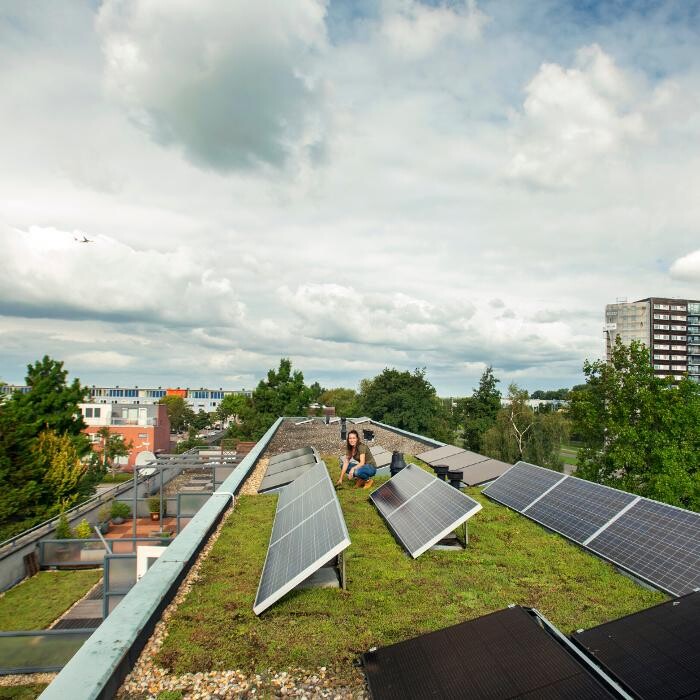 Foto's Het Groene loket - groendaken