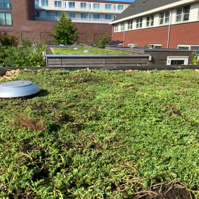 Foto's Het Groene loket - groendaken