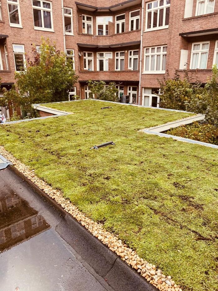 Foto's Het Groene loket - groendaken