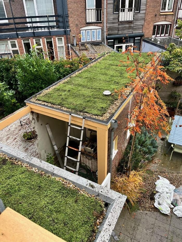 Foto's Het Groene loket - groendaken