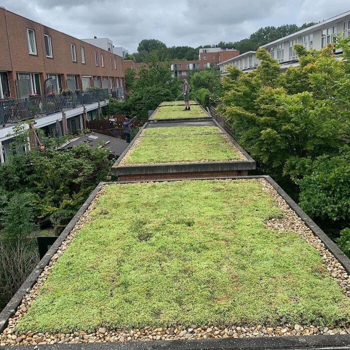 Foto's Het Groene loket - groendaken