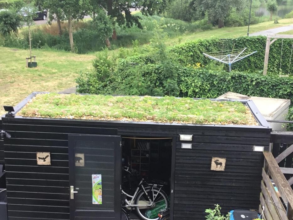 Foto's Het Groene loket - groendaken