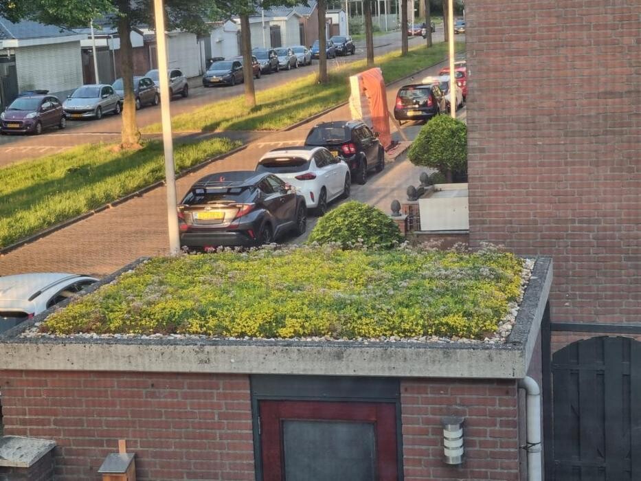 Foto's Het Groene loket - groendaken