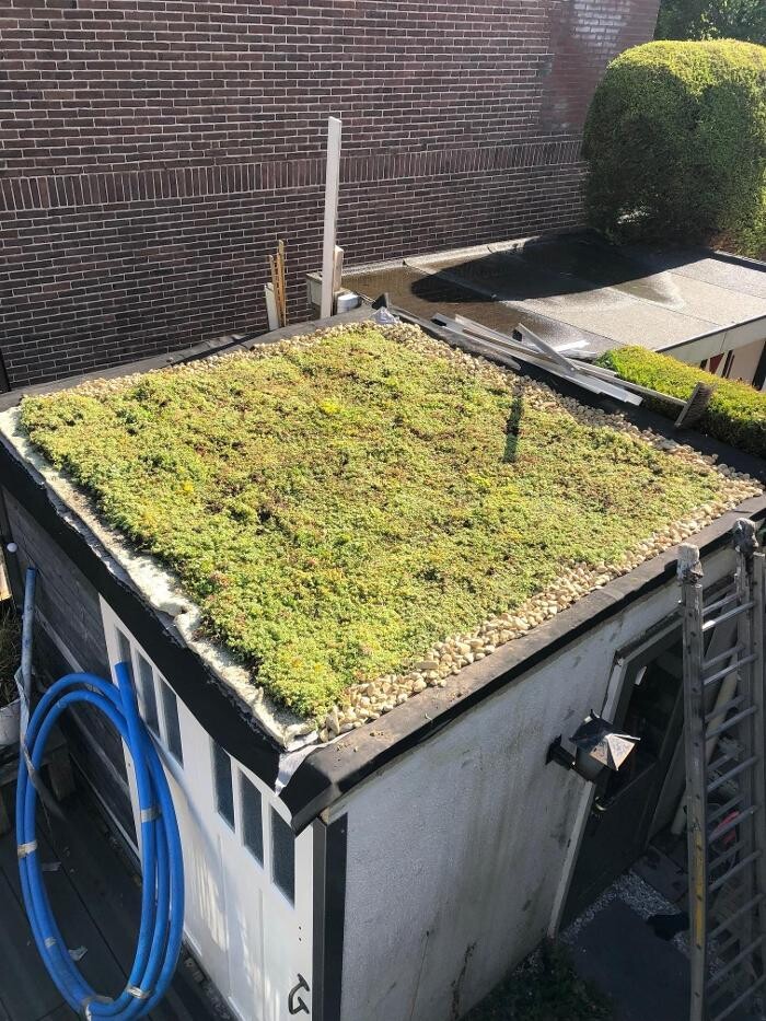 Foto's Het Groene loket - groendaken