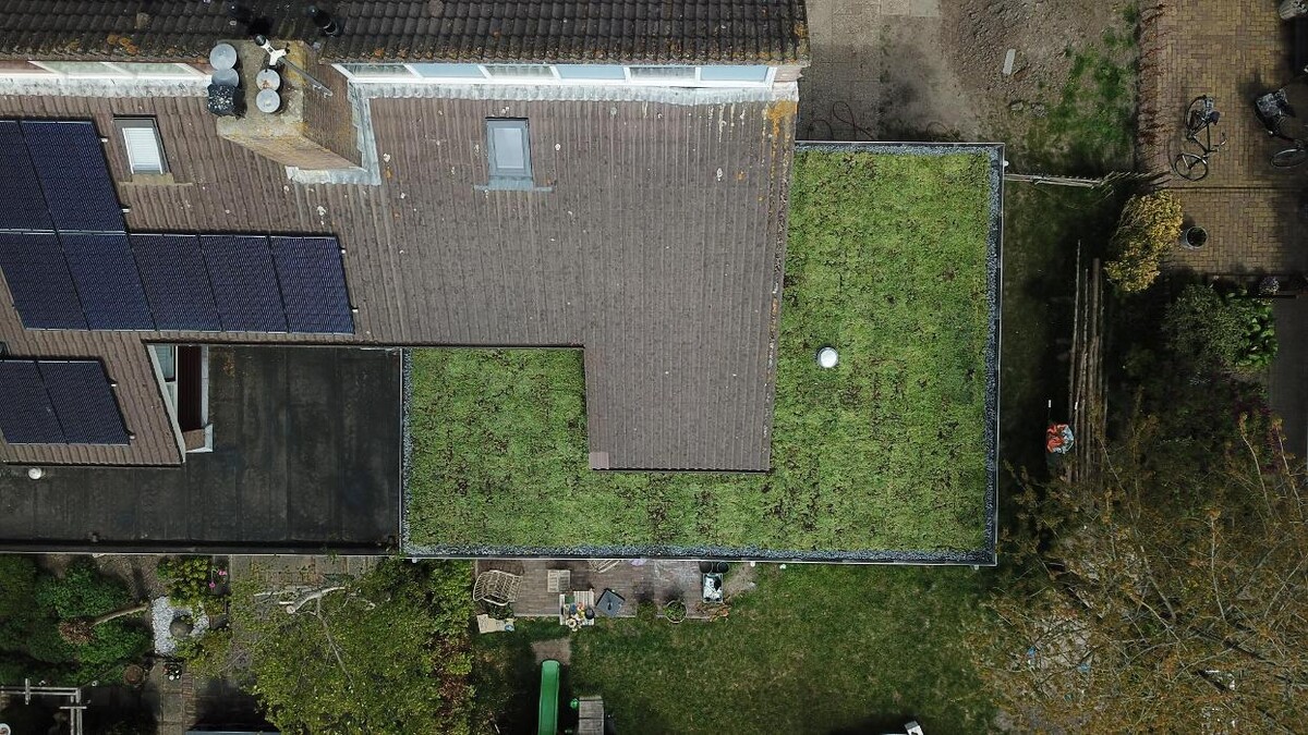 Foto's Het Groene loket - groendaken