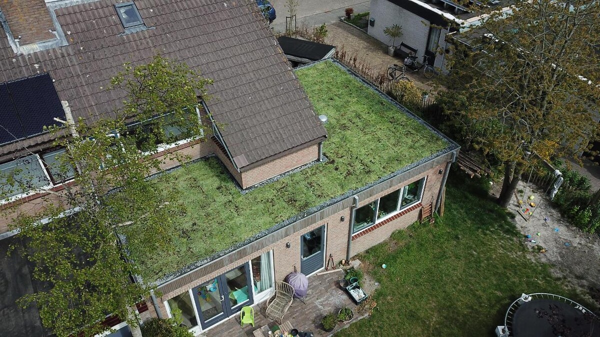 Foto's Het Groene loket - groendaken