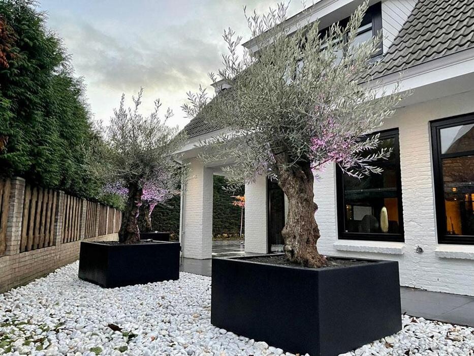 Foto's Van Hout Tuinprojecten