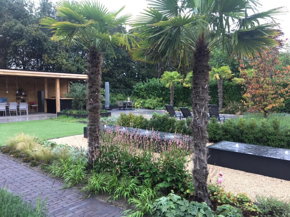 Foto's Van Hout Tuinprojecten