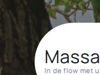 Website Screenshot Massageflow