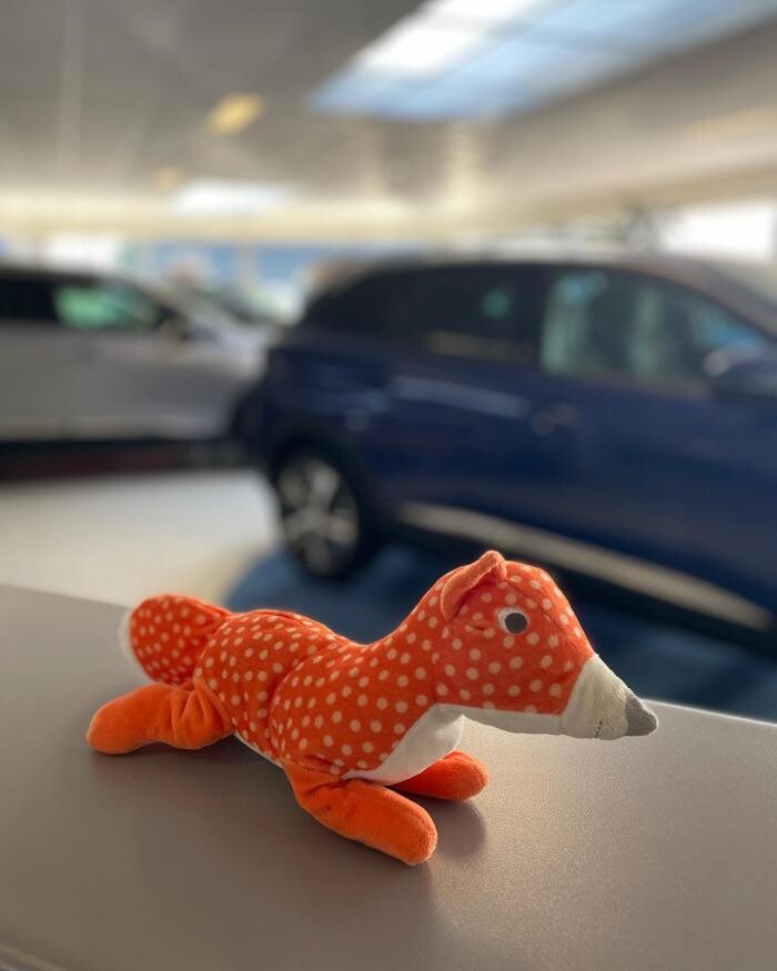 Foto's Auto Tensen Enkhuizen