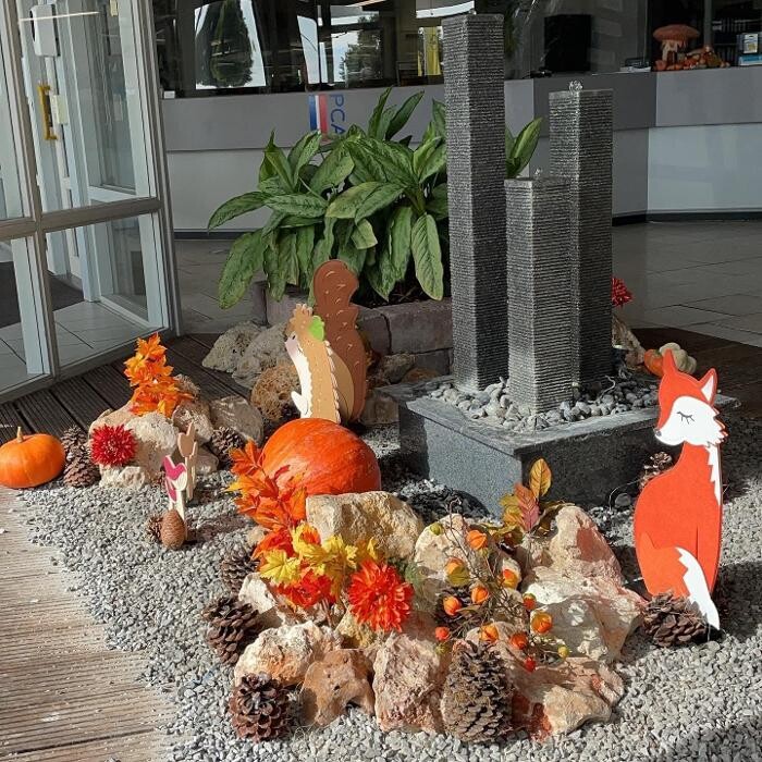 Foto's Auto Tensen Enkhuizen