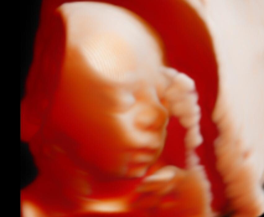 Foto's Mama's Babybuik
