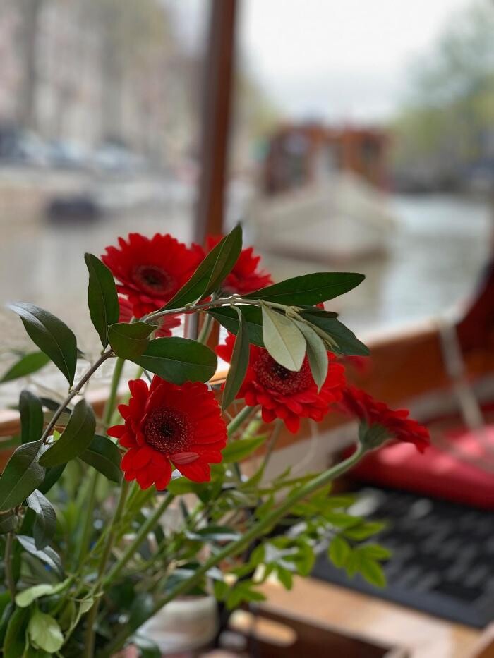 Foto's Private Boat Tour Amsterdam: dinner cruises & private boat cruise in Amsterdam