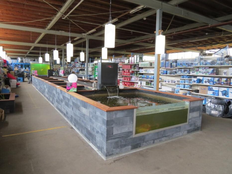 Foto's Vijverkoopjes