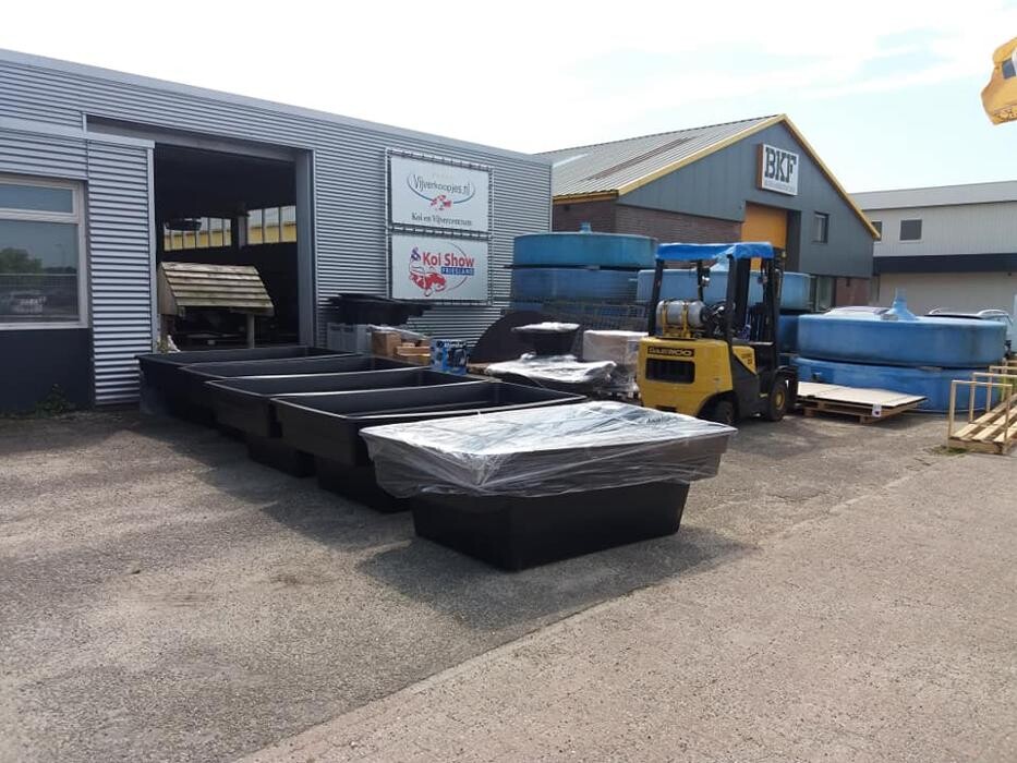 Foto's Vijverkoopjes