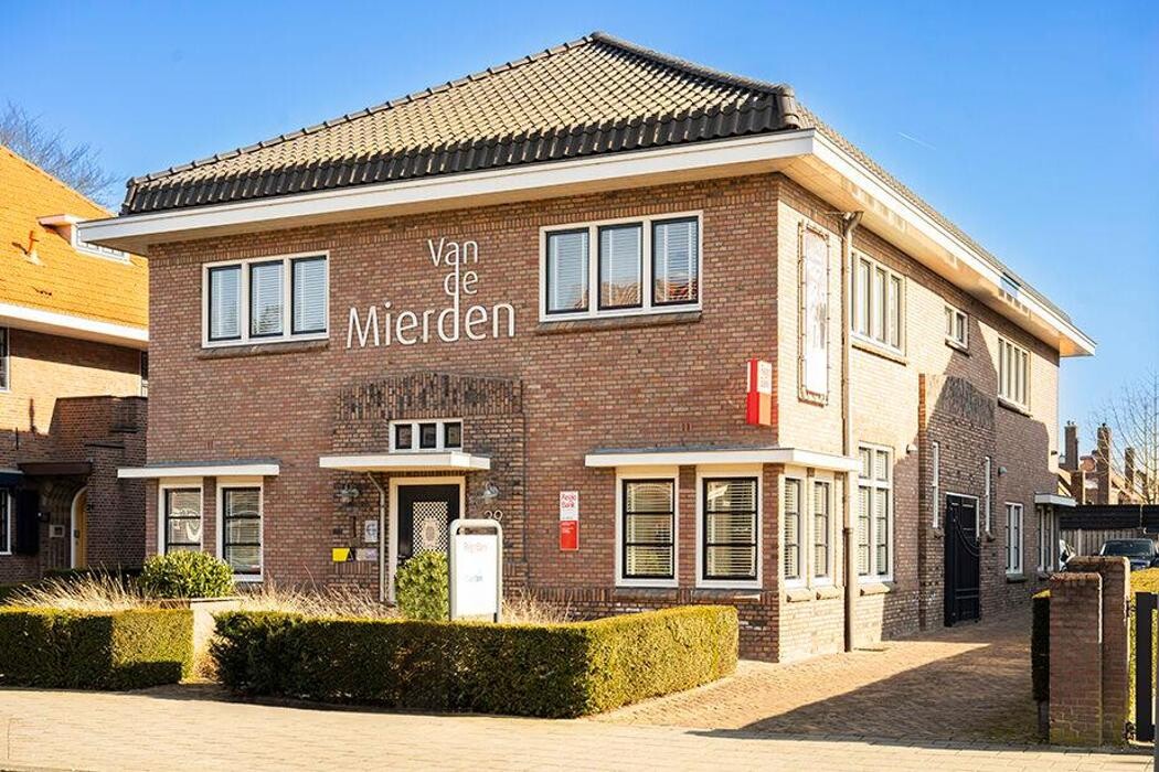 Foto's Van de Mierden