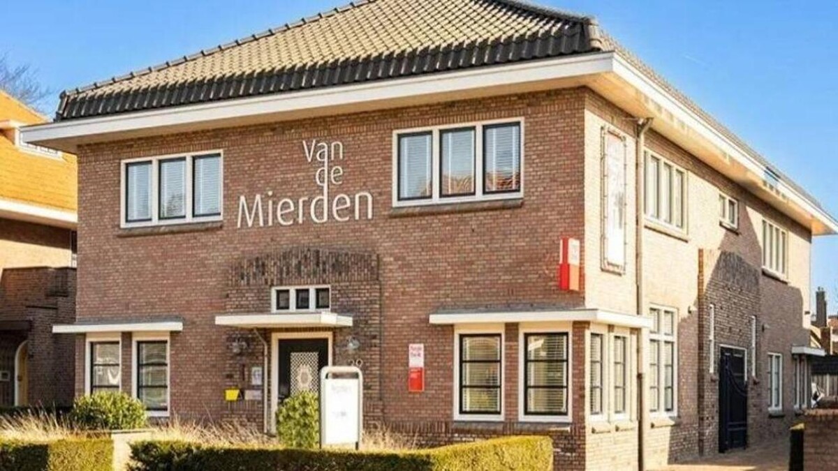 Foto's Van de Mierden