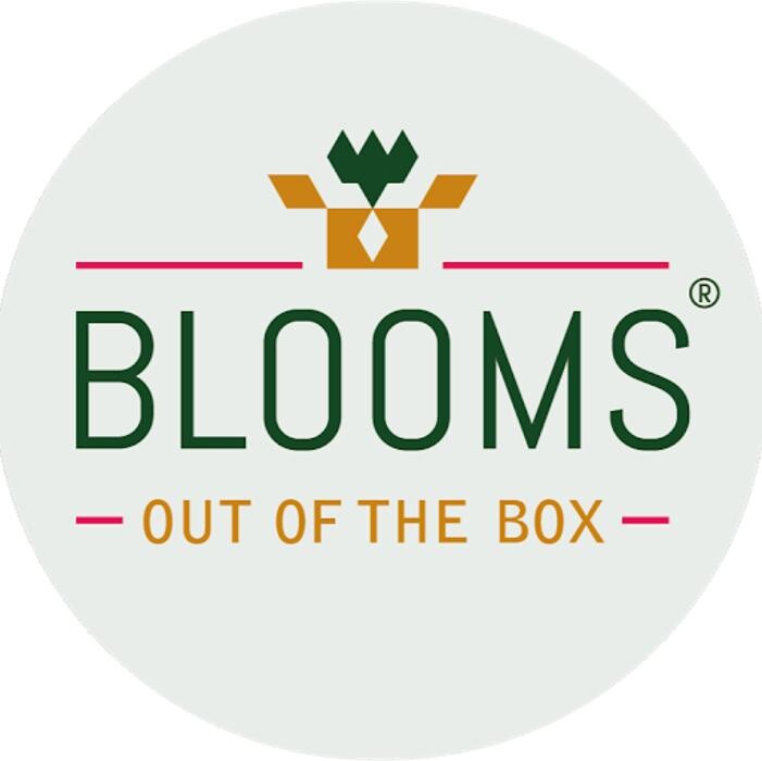 Blooms out of the Box Logo