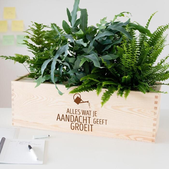 Foto's Blooms out of the Box