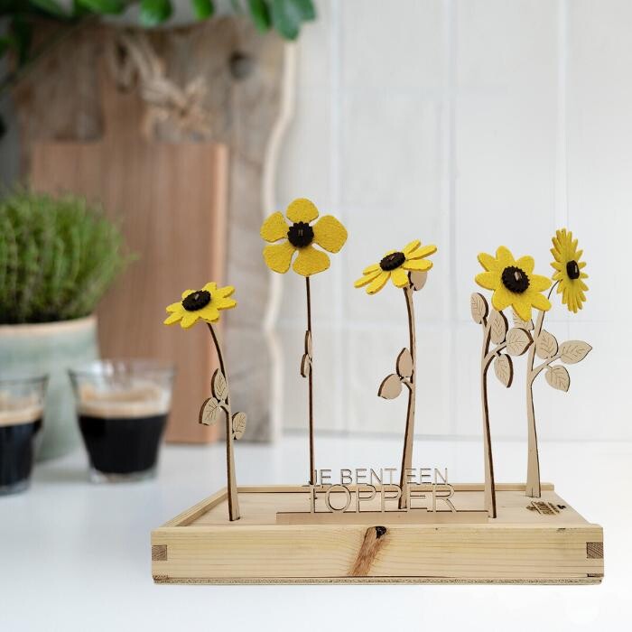 Foto's Blooms out of the Box