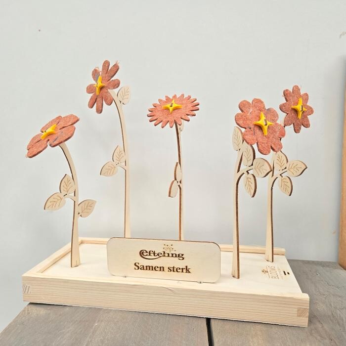 Foto's Blooms out of the Box